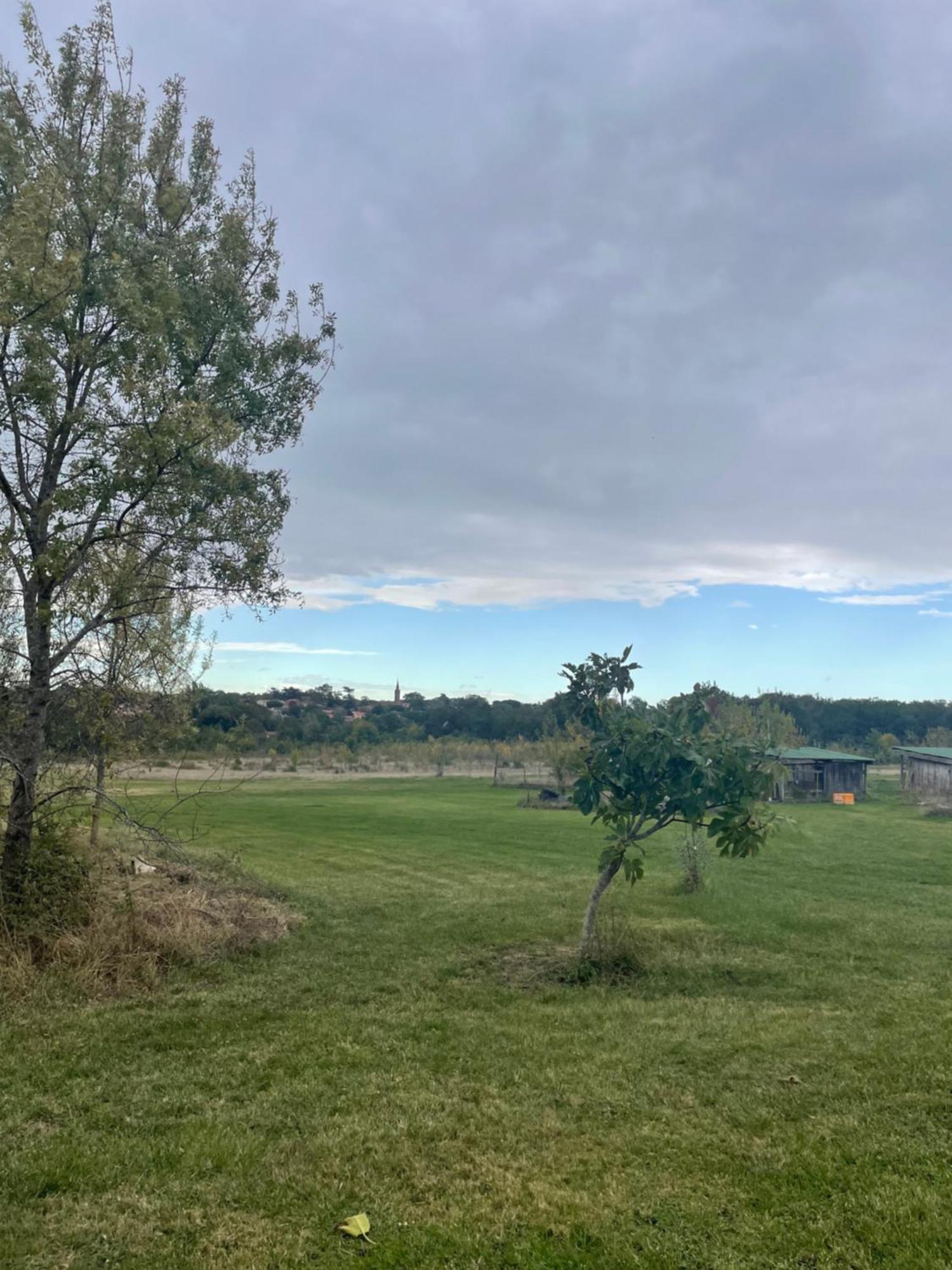 Les Chambres Du Pays Toulousain Pechbonnieu Esterno foto
